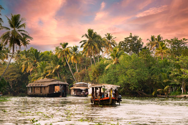 Kerala Landscape
